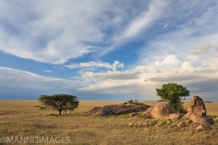 Serengeti 1