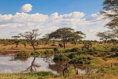 Serengeti 2
