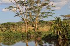 Serengeti 3