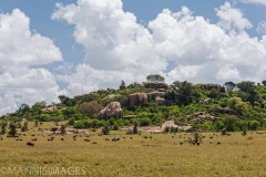 Serengeti 4