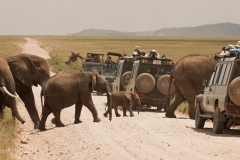 Road Block
