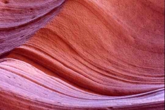 The Wave