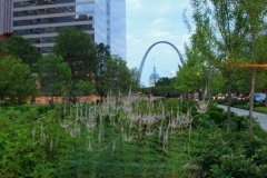 City Garden 4