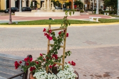 Bayfront