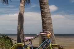 Beach Bike