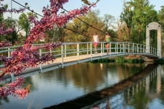 Bridge 4
