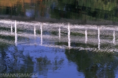 BRIDGE 7