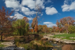 Stream