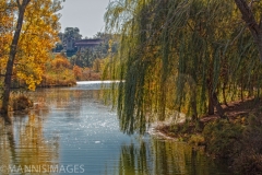 Quiet Spot