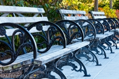 Benches 1