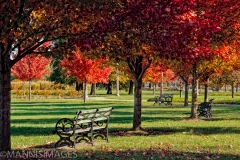 Benches 2