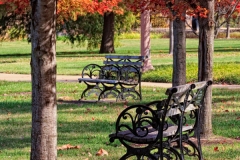 Benches 3