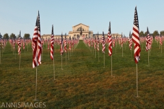 Flags 1