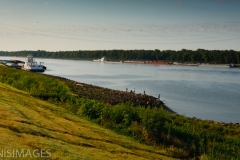 River Barges