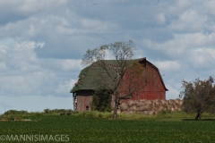 Old Barn
