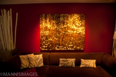 Private Collection 1