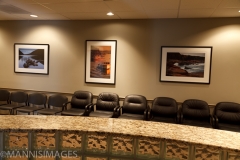 Professional Imaging
