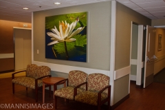 Missouri Baptist Hospital 5