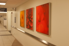 Missouri Baptist Hospital 3