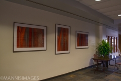 Missouri Baptist Hospital 4