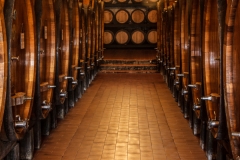 Vignamaggio Winery 1