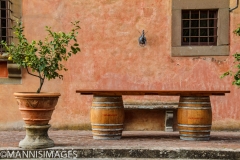 Vignamaggio Winery 2
