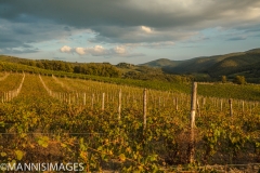 View from Villa Rosa 1