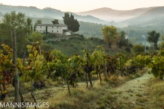 View from Villa Rosa 2