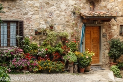 Doorway in Montefioralle
