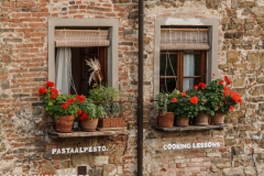 Windows in Montefioralle