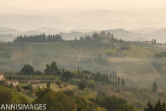 View from San Gimignano 2