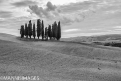 Iconic Tuscany