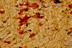 Pond Patterns 1