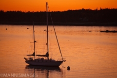 Sailboat at Sunset 1