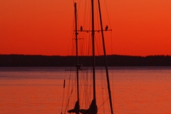 Sailboat at Sunset 2