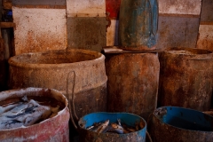 Bait Factory Barrels 4