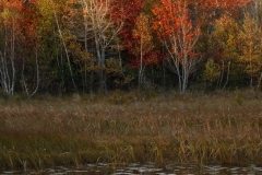 ACADIA FALL 3