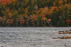 ACADIA FALL 5