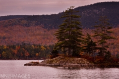 ACADIA FALL 7