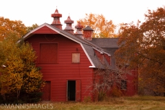 Red Barn 1