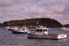 Bar Harbor 5