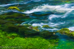 Blue Springs 3
