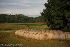 Hay Bales