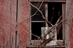 Old Barn 5