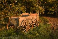 Old Wagon 1