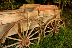 Old Wagon 2