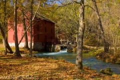 Alley Springs 2