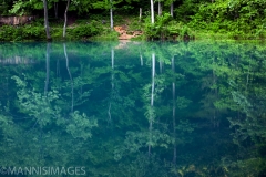 Alley Springs 3