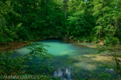 Round Spring