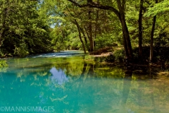 Blue Springs 2